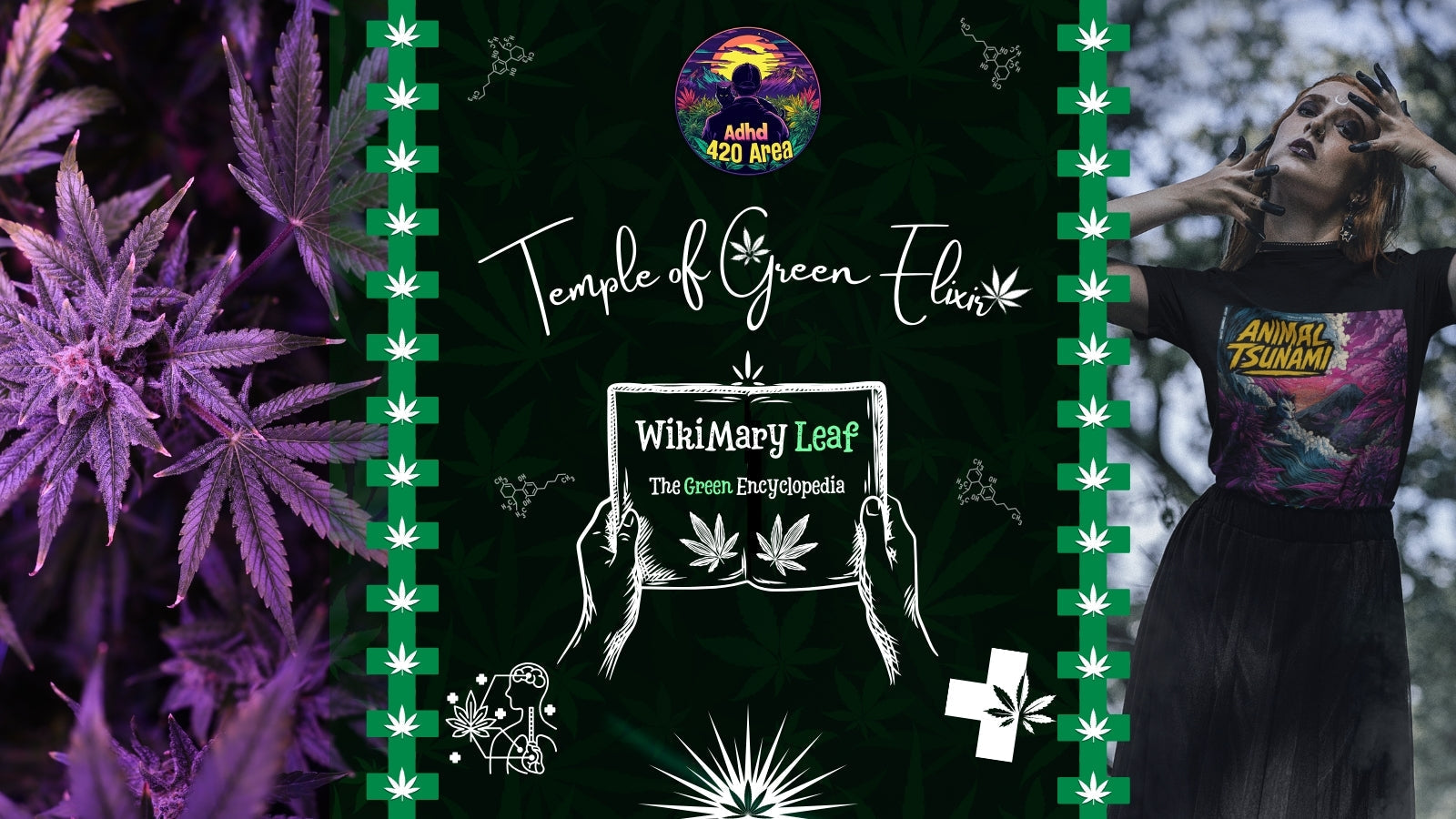 Wie WikiMary Leaf entstand – Von ADHD420AREA zu STONERIUS CALIUS