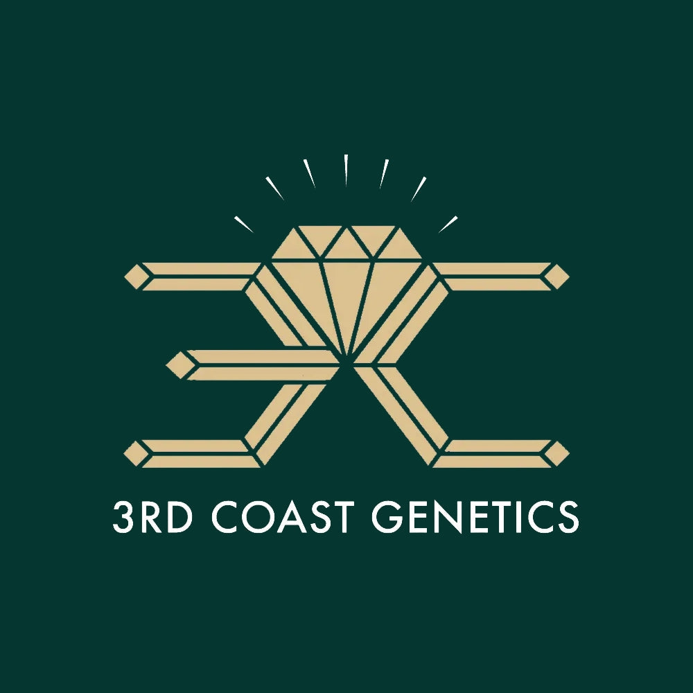 3rd Coast Genetics logo mit einem ungekehrtem 3 ein C und Diamant zwischen denen, mit grünen Hintergrund