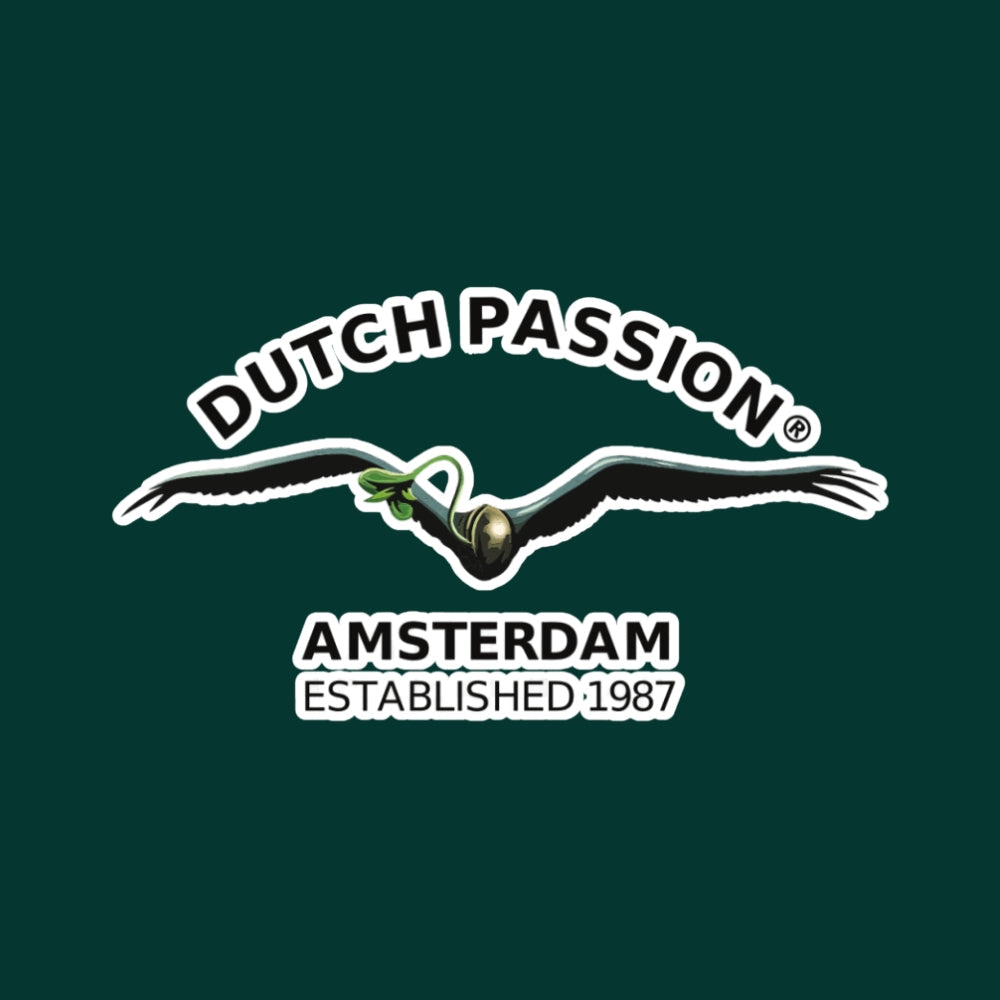 Dutch Passion logo, ein Cannabis Same mit Fliegende Federn und grüner Hintergrund