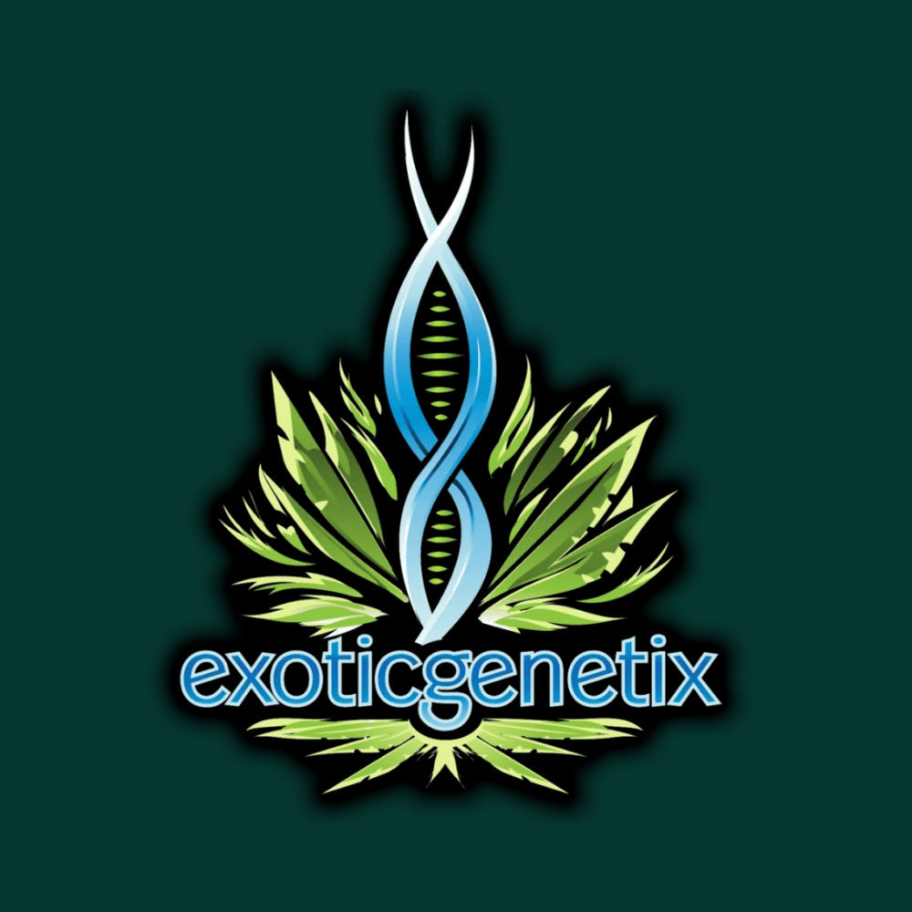 Exotic Genetix logo mit blaue DNA String und grüne Hintergrund