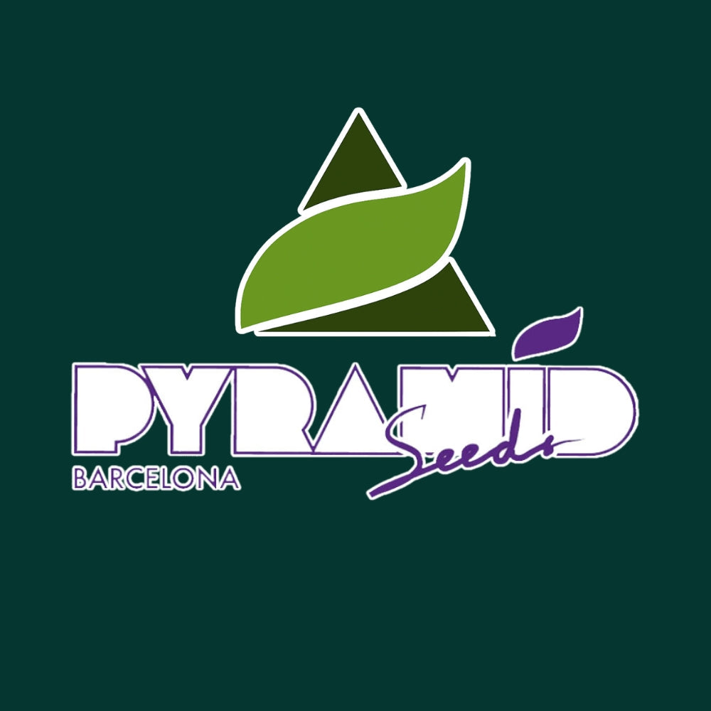 Pyramid Seeds