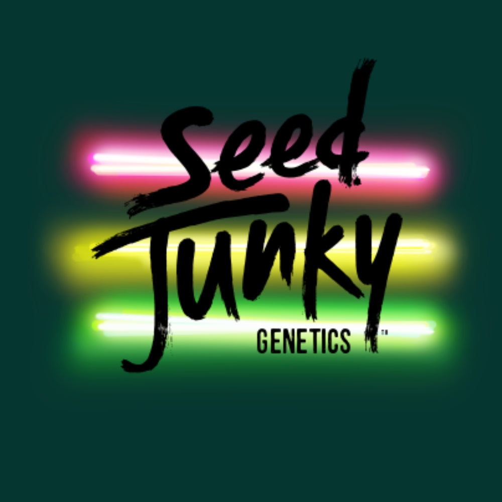 Seed Junky Genetics logo mit pink-gelb-grüne Neon streichen hinterdem und grüner Hintergrund