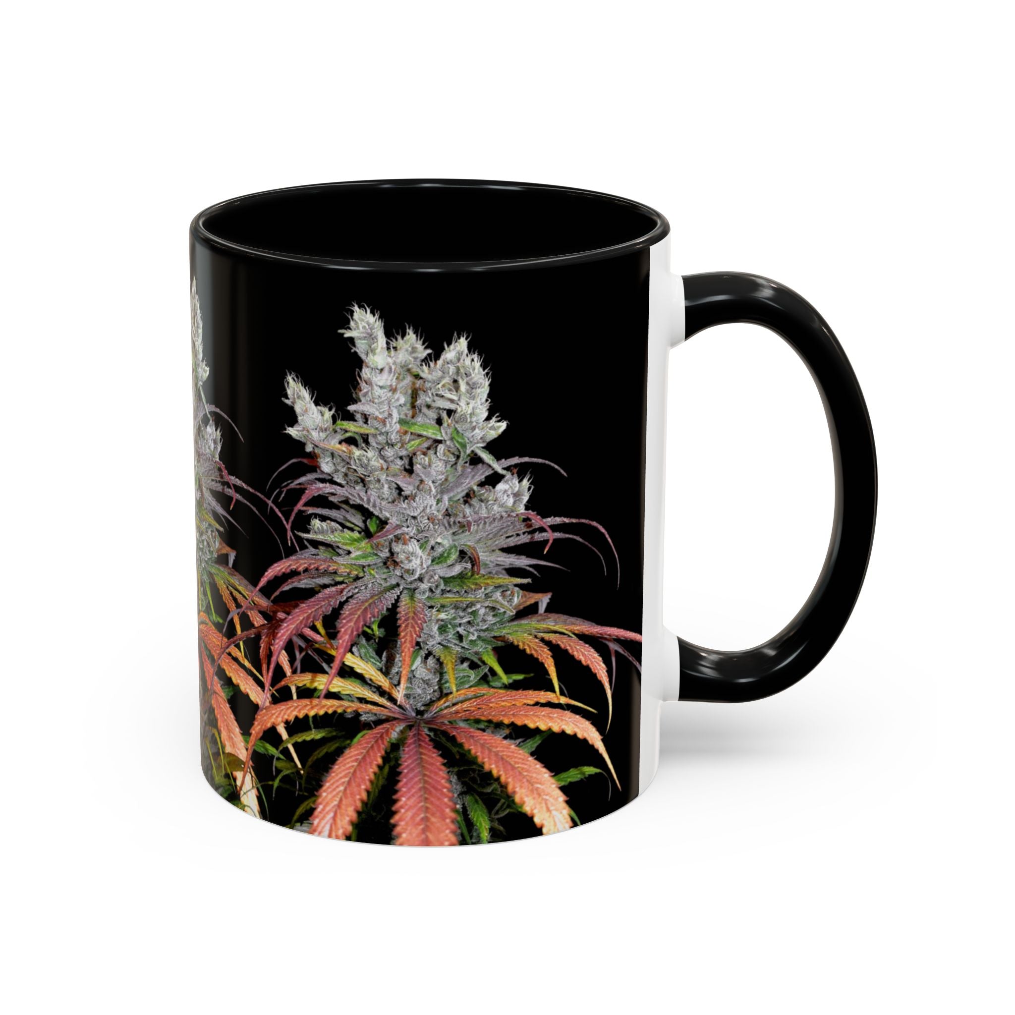 Cannabis Art Tasse von Temple of Green Elixir Hochwertige Keramiktasse mit schwarzem Henkel und Innenrand. Das umlaufende Motiv zeigt eine detaillierte, fotorealistische Nahaufnahme einer blühenden Cannabis-Pflanze mit farbenprächtigen, rot-violetten Blättern vor einem tiefschwarzen Hintergrund.﻿