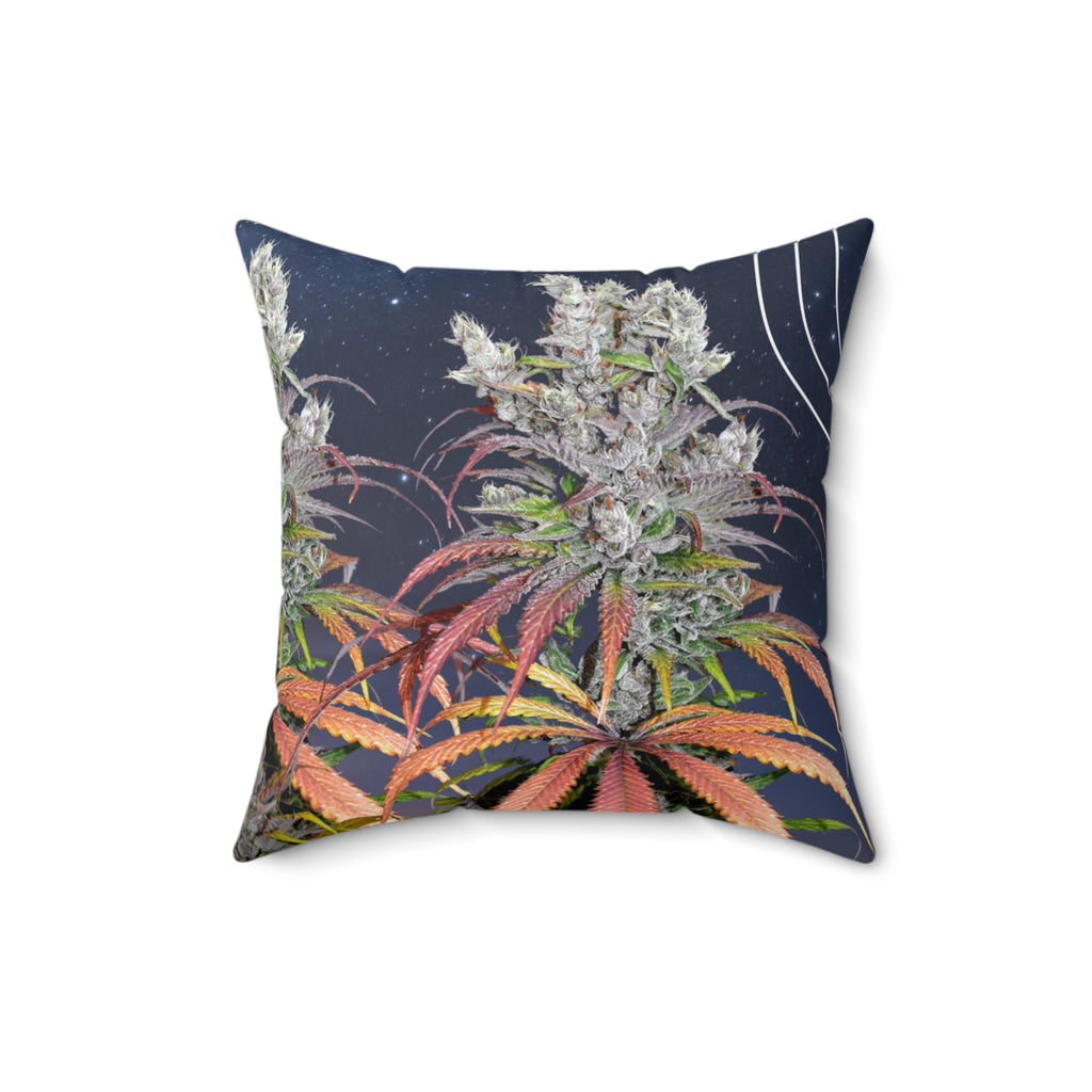 Hochwertiges Good Night Cannabis Zierkissen - Temple of Green Elixir aus weichem Stoff. Der Aufdruck kombiniert eine detailgetreue Aufnahme einer Hanfpflanze bei Nacht mit dem Wunsch "Good Night". Ein perfektes Accessoire für ein modernes und unkonventionelles Schlaf- oder Wohnzimmer