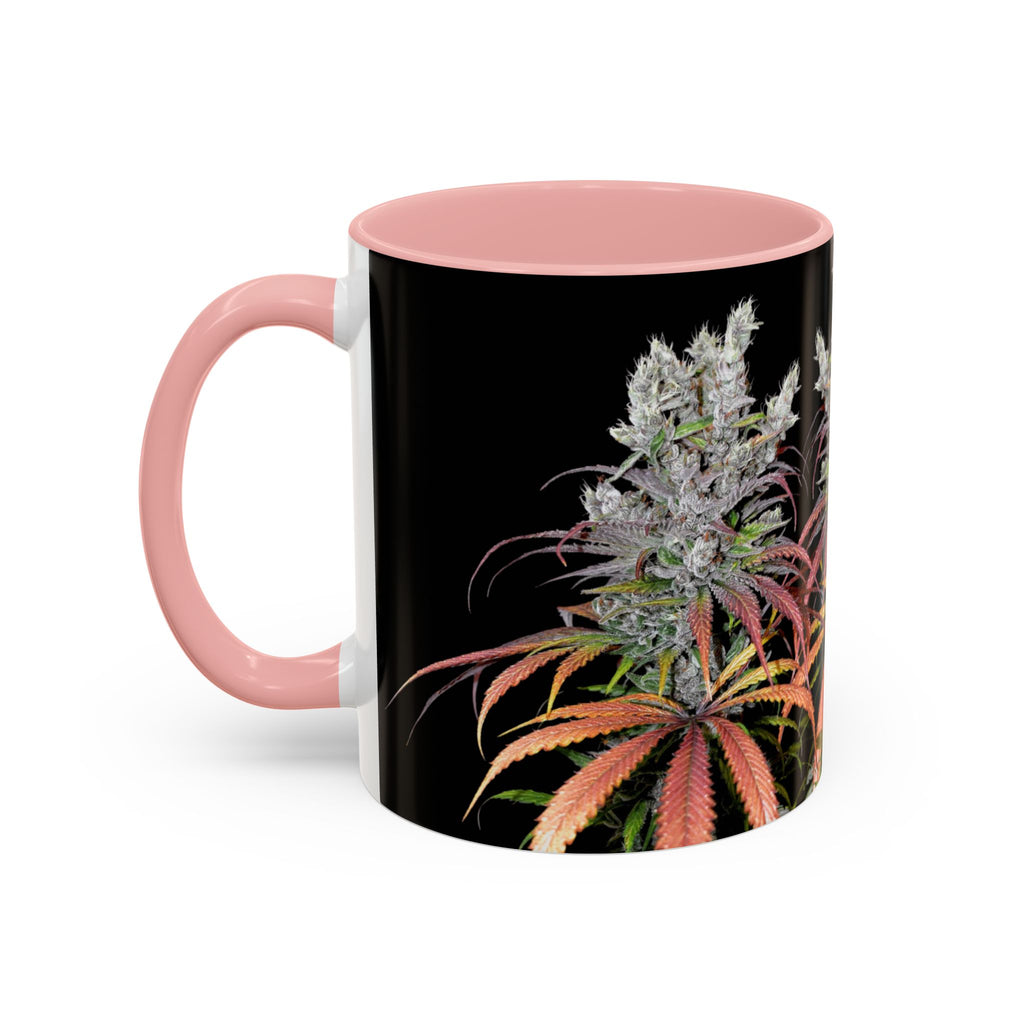Cannabis Art Tasse von Temple of Green Elixir mit rosa Innenfarbe. Zweifarbige Kaffeetasse (rosa/schwarz) mit einem ästhetischen Foto-Aufdruck. Das Bild hebt die Schönheit einer reifen Hanfpflanze hervor, deren kristalline Blüten und herbstlich gefärbte Blätter einen starken Kontrast zum schwarzen Hintergrund bilden.﻿