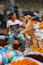 Eine junge Frau sitzt mit ihren Hunden auf der Straße, trägt eine blaue Hose und ein rosa Marshmallow OG T-Shirt. Das T-shirt zeigt das Design eine riesige Cannabis Pflanze mit kristallbedeckten Buds unter einem nächtlichen Himmel, umgeben von Nordlichtern und fernen Galaxien. 
