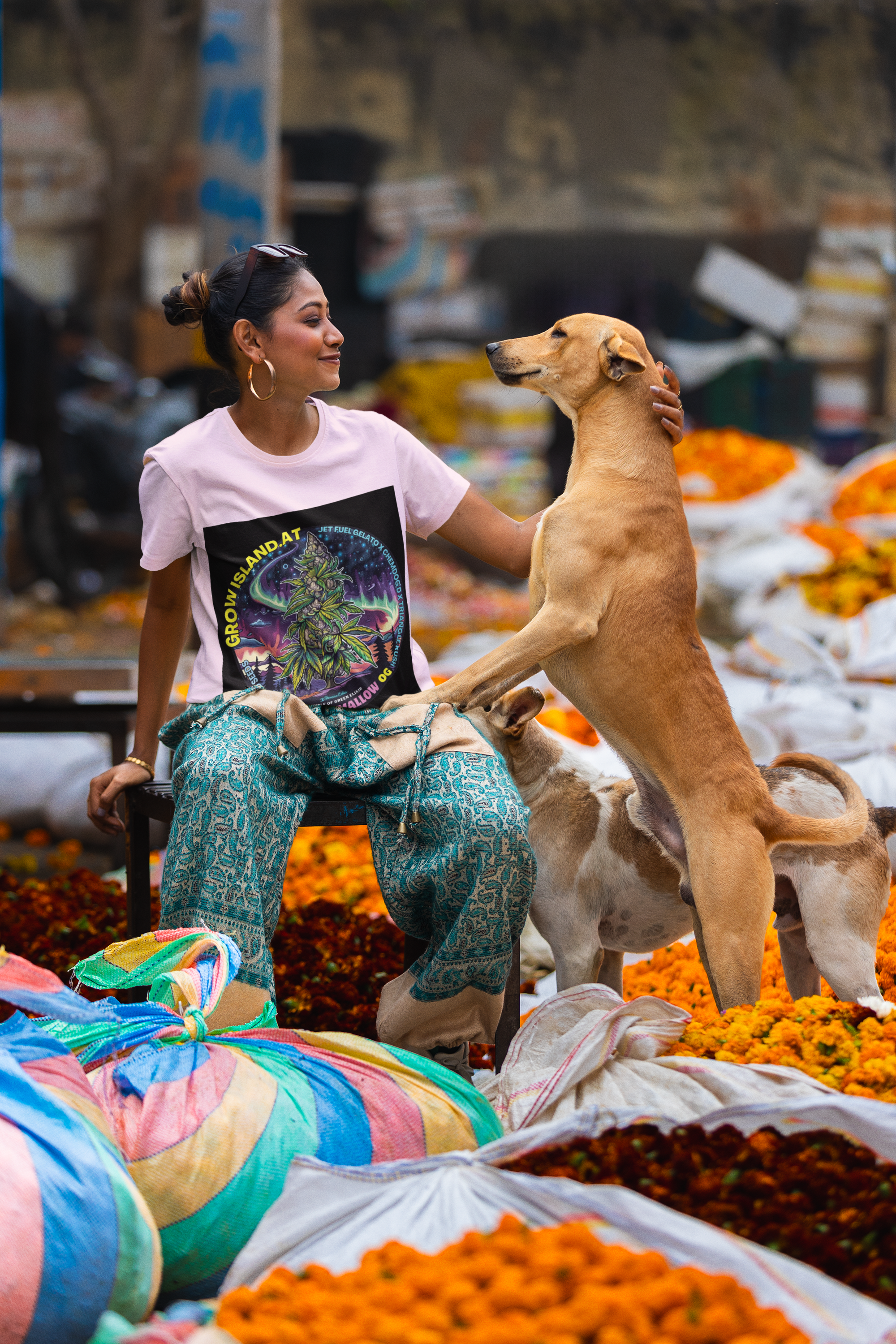 Eine junge Frau sitzt mit ihren Hunden auf der Straße, trägt eine blaue Hose und ein rosa Marshmallow OG T-Shirt. Das T-shirt zeigt das Design eine riesige Cannabis Pflanze mit kristallbedeckten Buds unter einem nächtlichen Himmel, umgeben von Nordlichtern und fernen Galaxien. 