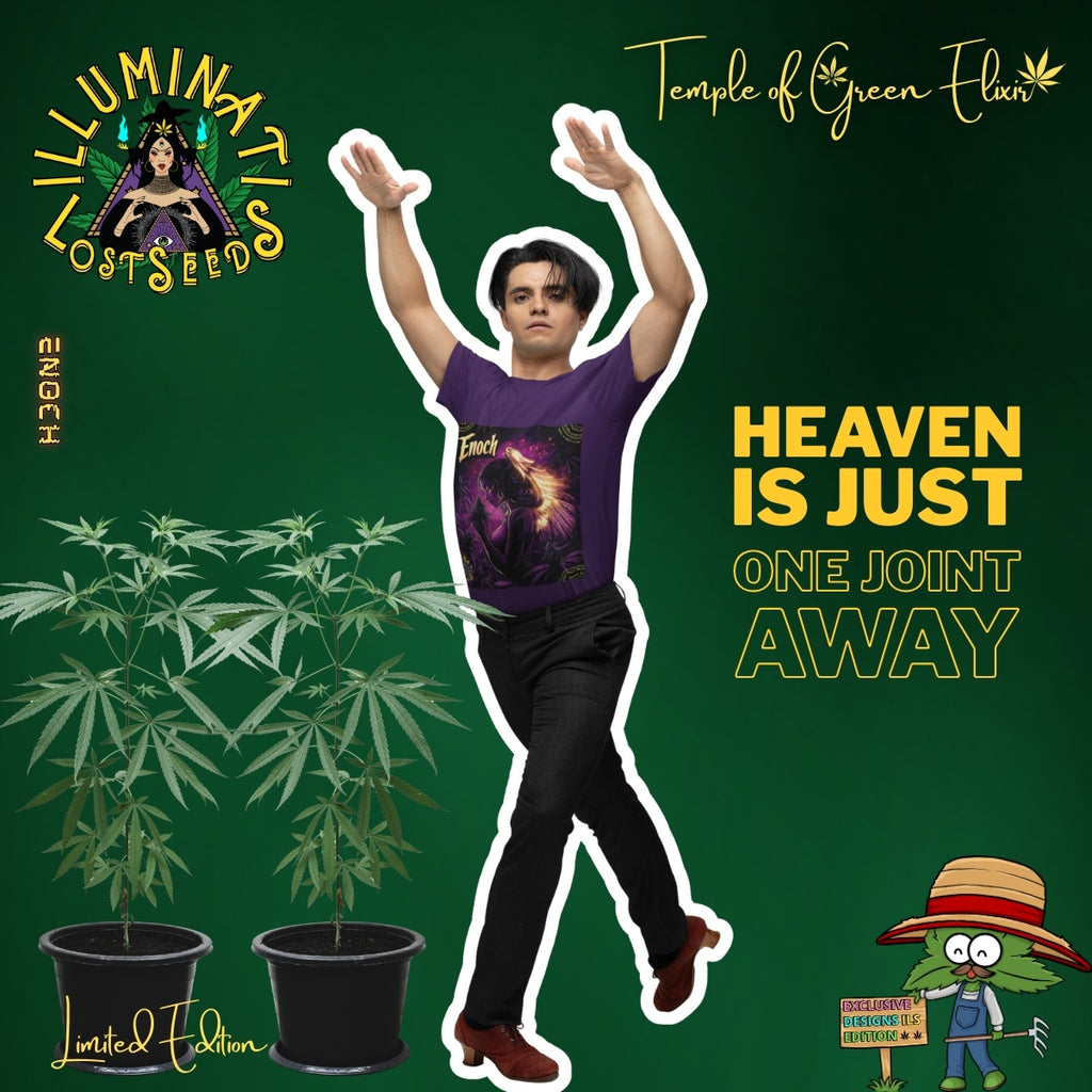 Ein junger Mann mit dunklen Haaren tanzt ausgelassen in einem lila Temple of Green Elixir T-Shirt mit dem "Enoch"-Aufdruck. Seine dynamische Pose und sein intensiver Blick fangen einen Moment der Freiheit und des Ausdrucks ein. Die Werbegrafik für "Temple of Green Elixir" und "Illuminati Lost Seeds" wird durch echte Cannabis-Pflanzen im Vordergrund ergänzt und steht unter dem Motto "HEAVEN IS JUST ONE JOINT AWAY".﻿