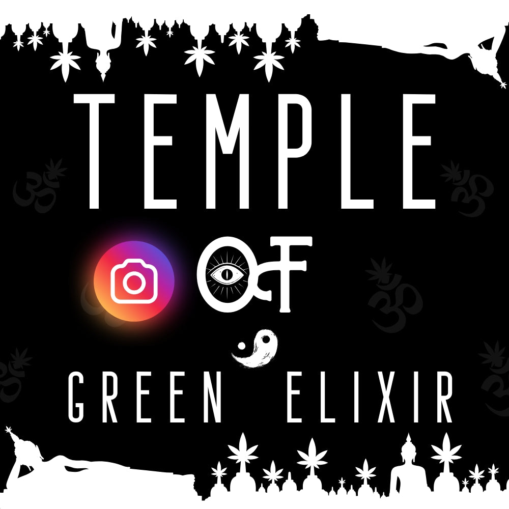 Das Instagram-Design des Temple of Green Elixir verkörpert den kreativen Ausdruck einer modernen, spirituellen Lebensweise. Zwischen Symbolen von Yin-Yang, Bewusstsein und Natur wächst eine Marke, die Mode, Kunst und Nachhaltigkeit in Einklang bringt – ein visuelles Statement für Balance, Freiheit und grüne Energie. Auf der linke seite steht auch ein Instagram logo